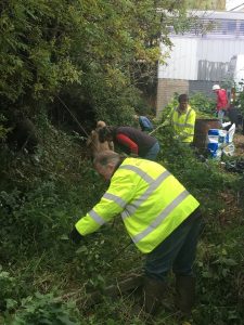 group effort clearing the weeds