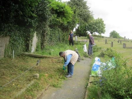 Chesham Cemetery Wildflower Project