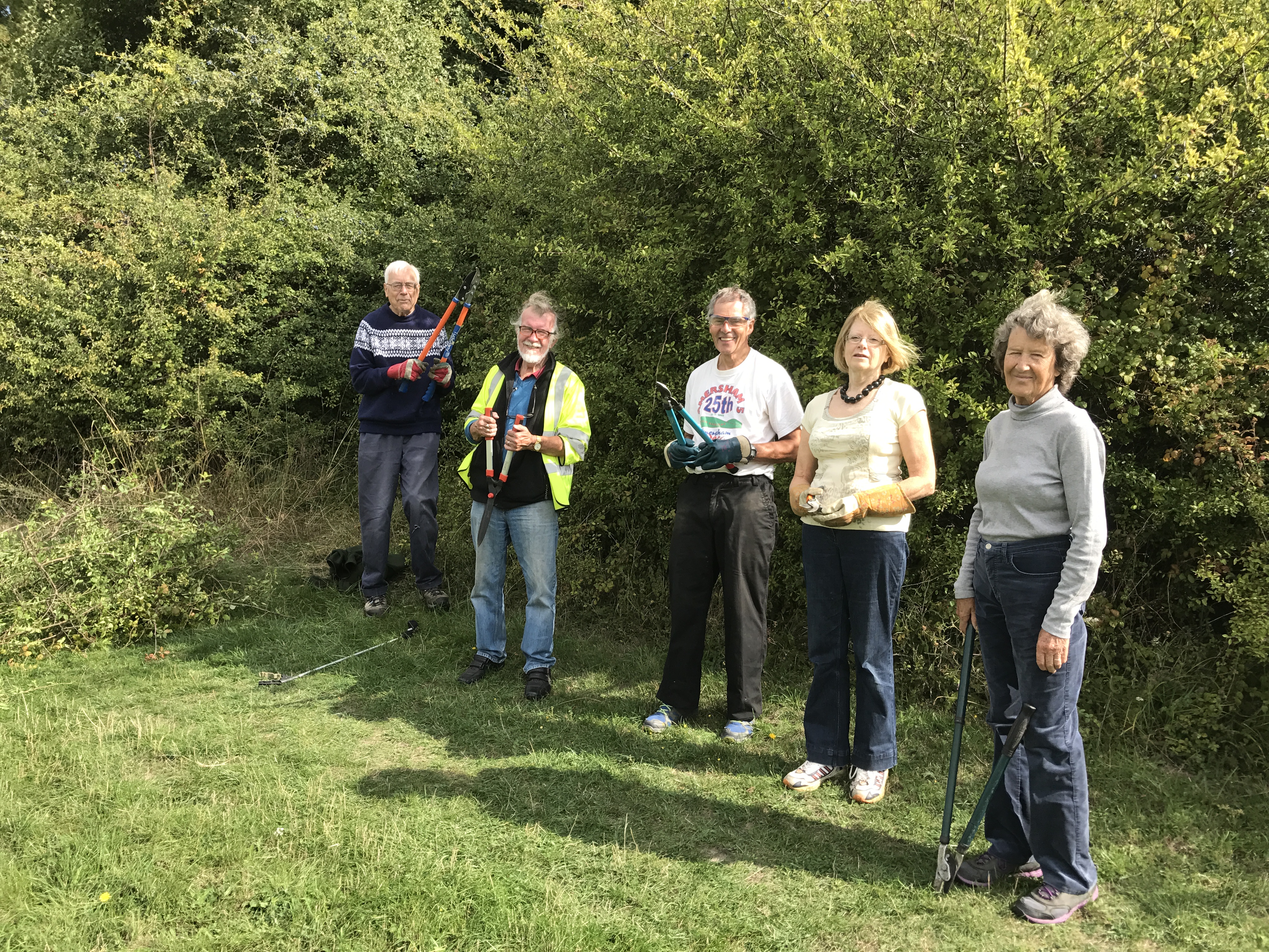 Berkhampstead Field Community Meadow