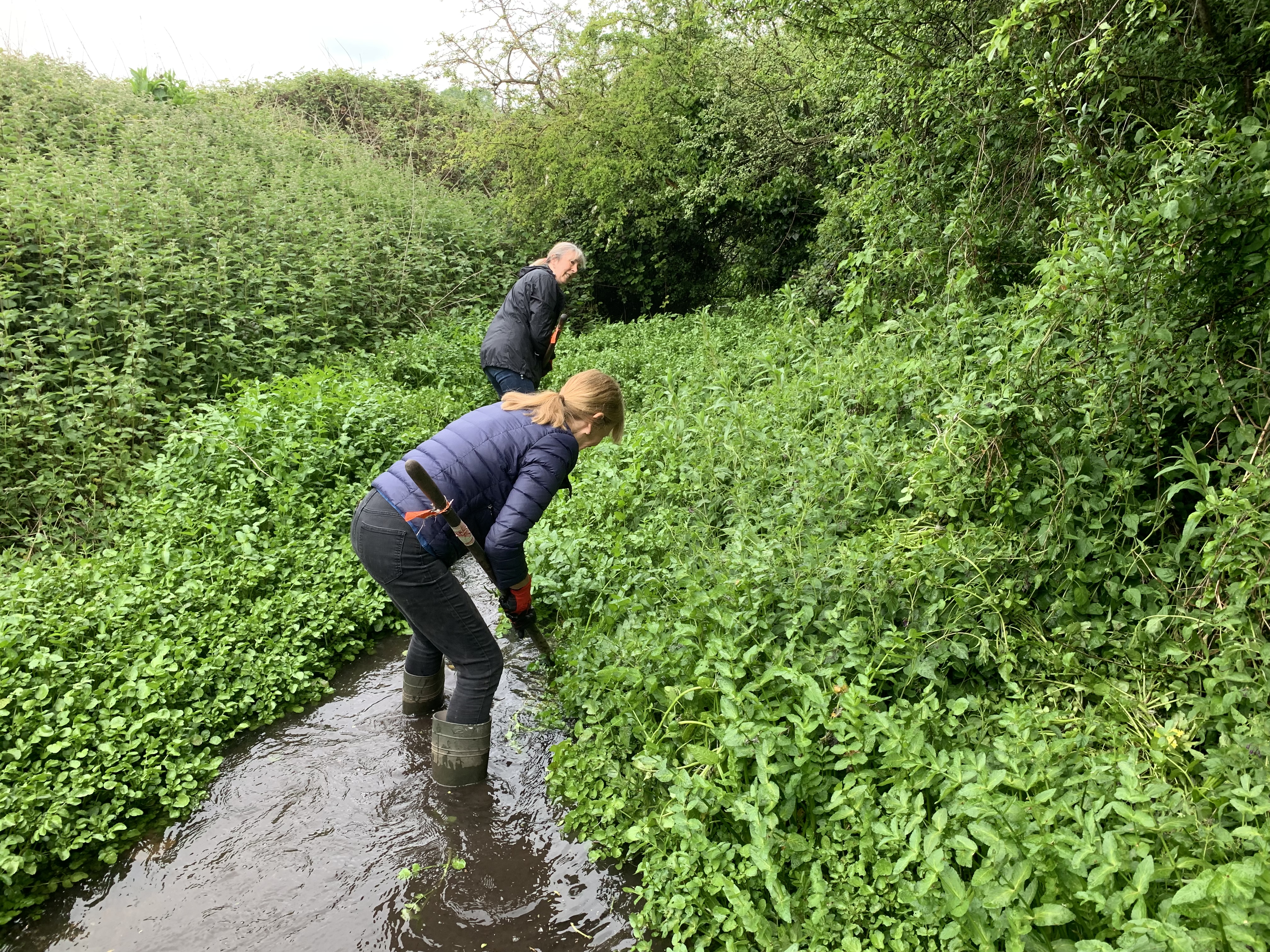 River Chess Bypass – 19 May 2019