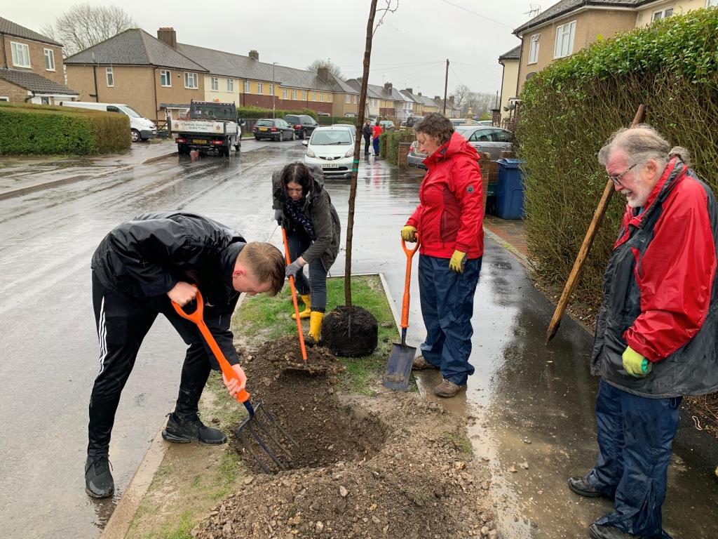 Tree Planting in Storm Conditions