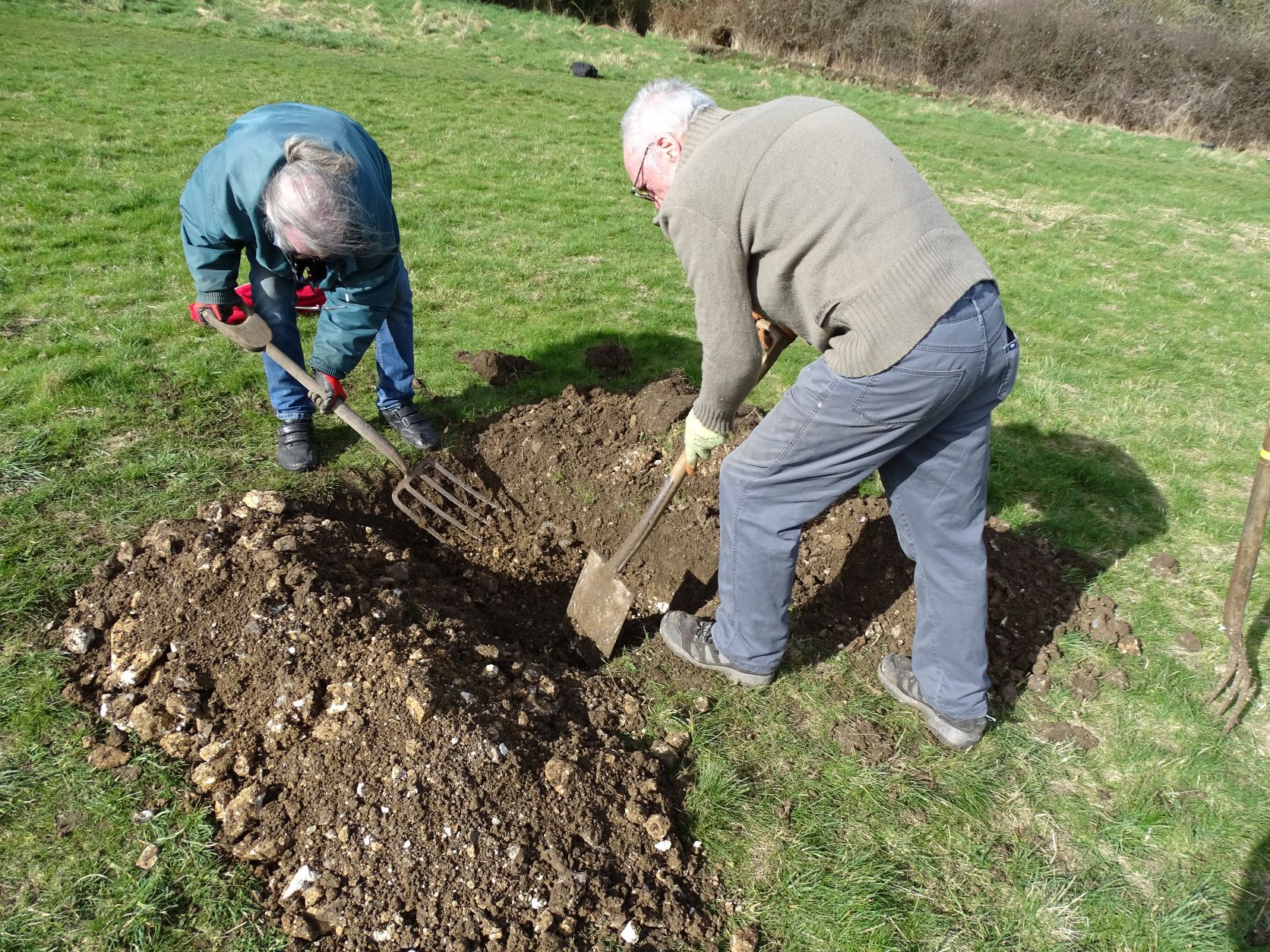 Co-op Field Biodiversity Enhancement Project