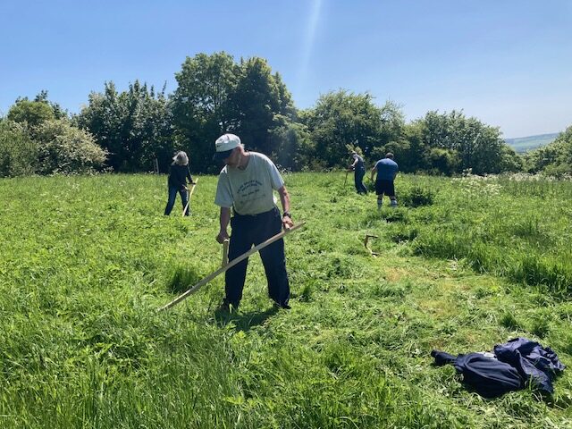 Scything Training Day